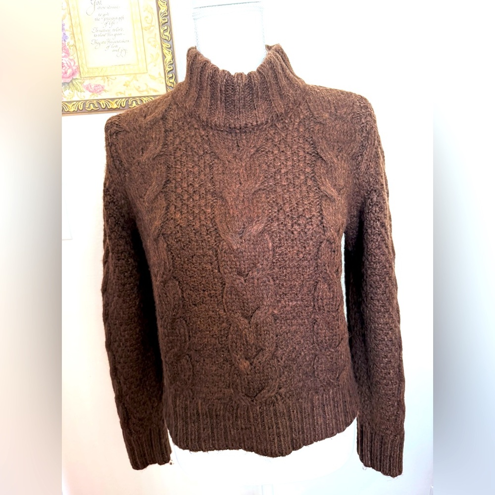 American Eagle Outfitters Chocolate Cable Knit Turtleneck Sweater with beanie